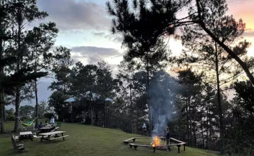 a fire pit in a park with trees at Spirit Mountain Coffee in Manabao
