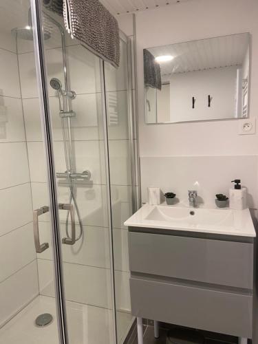 une salle de bain avec un lavabo et une douche dans l'établissement Les Pichies, T2 Marie-Line, Digoin., à Digoin