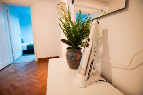 a remote control sitting next to a vase with a plant at Complex Omnia - Apartamente Husi in Huşi