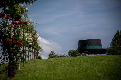 a fence on a hill with flowers and a bucket at Panoramahotel Steirerland in Kitzeck im Sausal