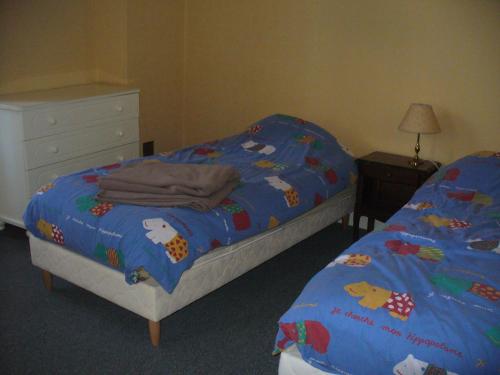 a bedroom with two twin beds and a dresser at Maison d'Hôtes Villa Brindille in Bois-le-Roi