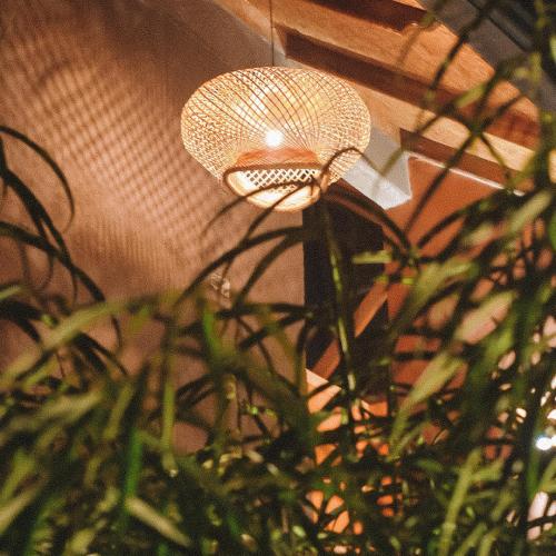 a plant in front of a ceiling with a light at Umbral Hotel Boutique in Villavicencio