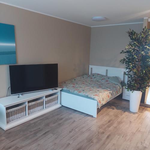 a bedroom with a bed and a flat screen tv at Trinitix apartment in Tapa