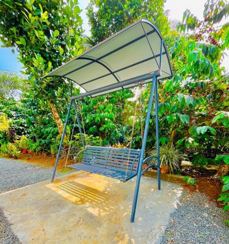 a blue bench sitting on the side of the road at Sahyadri Homestay wayanad in Kalpetta