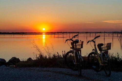two bikes parked in front of a lake at sunset at Wonderful villa with swimming pool on Albarella in Palazzo Vianello