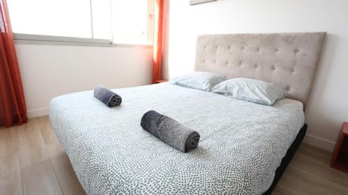 Bel appartement T3 à louer