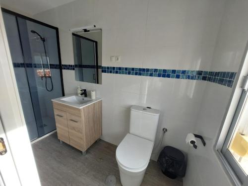 a bathroom with a toilet and a sink and a mirror at CÓMPETA CASA 2 in Cómpeta