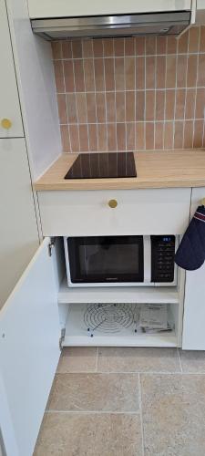 a kitchen with a microwave in a white cabinet at Studio confortable dans un jardin au calme in Villenave-dʼOrnon