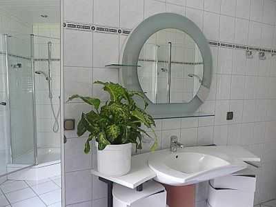 baño con lavabo y maceta en Ferienwohnung Spohr, en Bad Wildungen