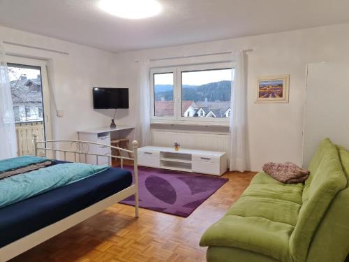 弗勞埃瑙的住宿－Ferienhaus Falkenstein，一间卧室配有一张床、一张沙发和一台电视。
