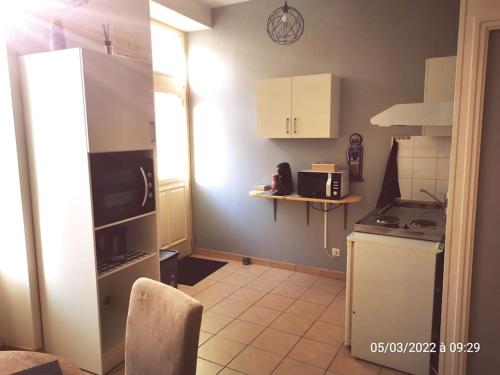 a kitchen with a refrigerator and a table with a microwave at Le Puits d'Amour in Villeneuve-sur-Yonne