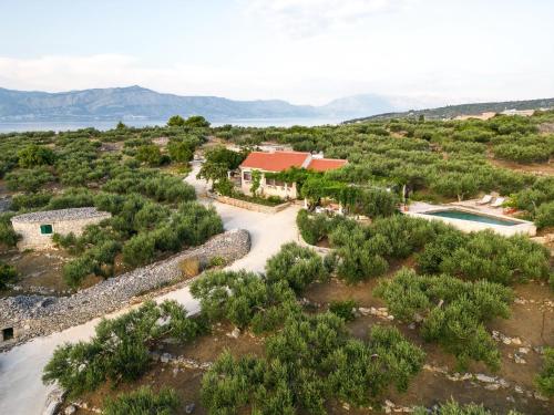 Villa Roza – Photos 5