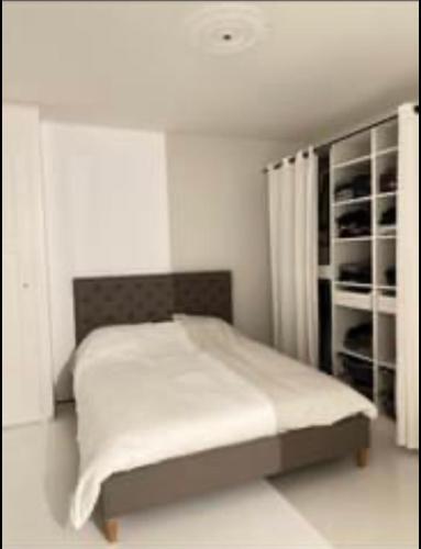 a white bedroom with a bed and a book shelf at Appartement haussmanien rénové proche centre Lausanne in Lausanne