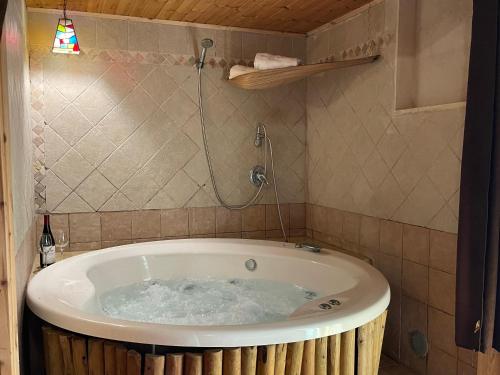 a bath tub with a shower in a bathroom at בוסתן החורש- חיפה 