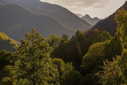 a view of a valley with trees and mountains at Wild Valley Puro Ticino 1+2 in Valle Onsernone in Crana