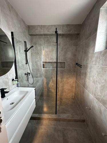 La salle de bains est pourvue d'une douche et d'un lavabo. dans l'établissement Vila Athos 2, à Voluntari