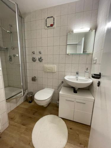 a white bathroom with a toilet and a sink at Mimalou Apartment in Glauchau in Glauchau