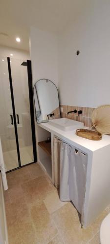 a bathroom with a sink and a mirror at Studio confortable dans un jardin au calme in Villenave-dʼOrnon