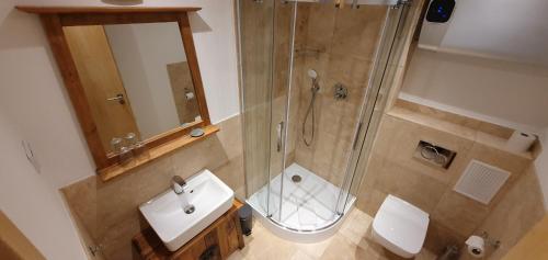 uma casa de banho com um chuveiro, um WC e um lavatório. em Lana Salta Alpakas - Gemütliche Gästezimmer auf dem Bauernhof em Murrhardt
