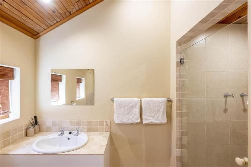 La salle de bains est pourvue d'un lavabo et d'une douche. dans l'établissement d'Vine Maison, à Franschhoek