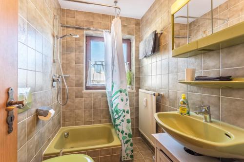 ein Bad mit einem Waschbecken, einem WC und einer Dusche in der Unterkunft Apartment Bergblick in Frasdorf