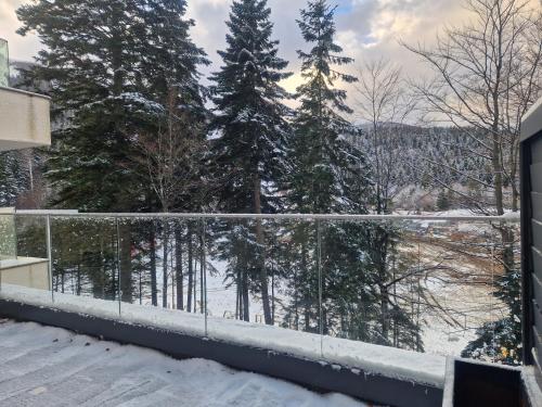 Φυσικό τοπίο κοντά σε αυτό το διαμέρισμα