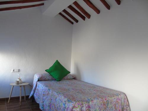 Un dormitorio con una cama con una almohada verde. en Casa Sardiguera, en Montecorto