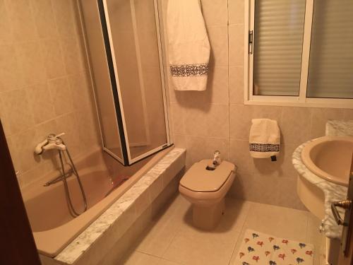 een badkamer met een toilet, een douche en een wastafel bij Camino a Santiago habitaciones in Villasante