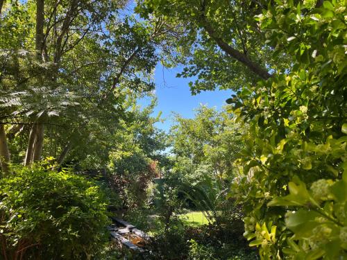a view of a garden through the trees at Serene Garden Flat in Ceres
