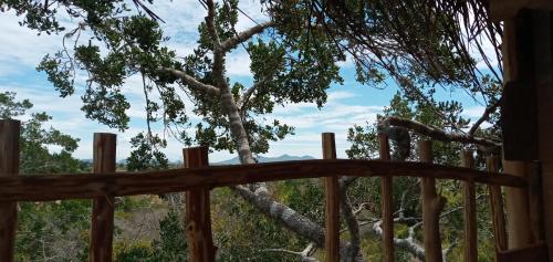 a tree seen through a wooden fence at Mamba Yala in Tissamaharama