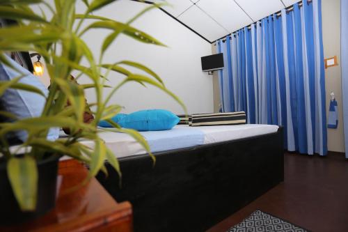 a room with a bed with blue curtains and a plant at Leisure Dream Inn in Ella