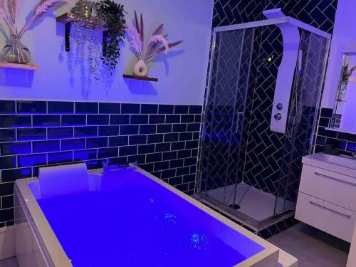 La salle de bains violette est pourvue d'une baignoire et d'une douche. dans l'établissement Dijon Studio *Balnéo du Condorcet*, à Dijon