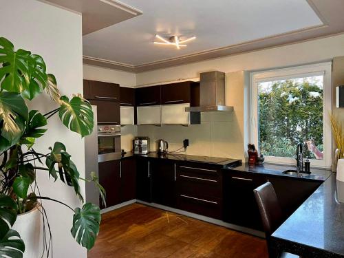 Η κουζίνα ή μικρή κουζίνα στο Apartament Noce i Dnie z prywatnym jacuzzi