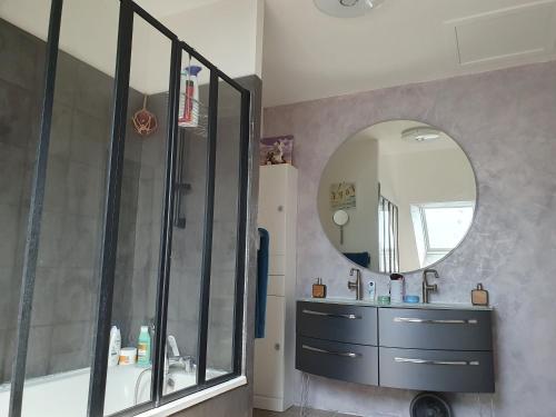 une salle de bain avec une douche, un lavabo et un miroir dans l'établissement maison privative la fougere, à La Haye-dʼEctot