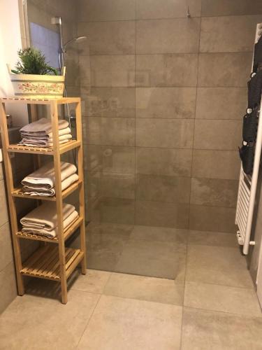 a bathroom with a shower and a shelf with towels at Apartment Wiesenbauer - Chiemgau Karte in Inzell