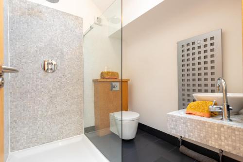 a bathroom with a shower and a toilet and a sink at Wildings Ardcavan in Wexford