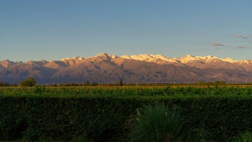 a field with a mountain range in the background at Casa de Huéspedes La Azul in Los Árboles
