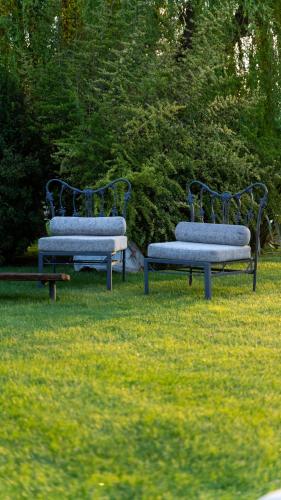 two blue benches sitting in the grass in a field at Casa de Huéspedes La Azul in Los Árboles