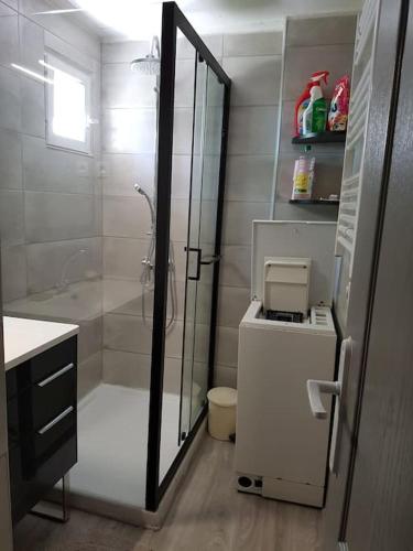 une salle de bain avec une douche, des toilettes et un lavabo dans l'établissement Sigean - Maison domaine viticole, 6 km de la mer, à Sigean