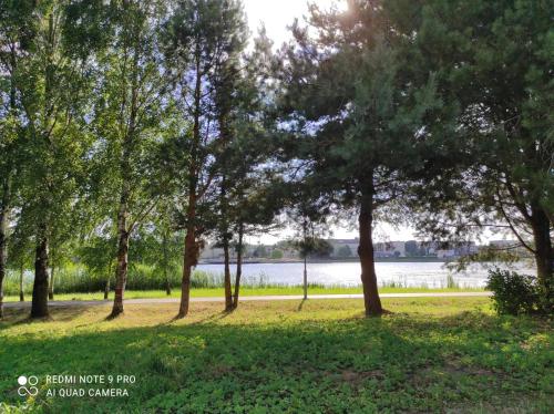 a group of trees in a park next to a lake at Ramus poilsis prie Širvintų marių in Širvintos
