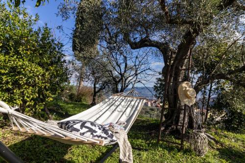 a person laying in a hammock under a tree at Castellara Green House - Colline di Lerici in Arcola
