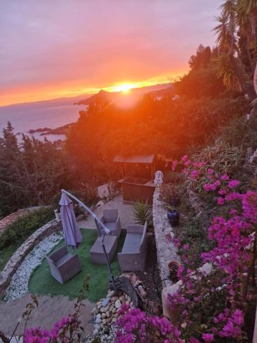 a sunset over a garden with purple flowers at Villa Rubis-vue mer à couper le souflle in Saint-Raphaël