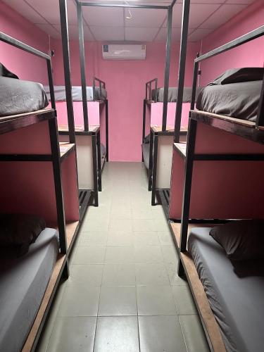 ハード・リンにあるYASSS! LGBTQ+ Hostelのピンクの壁の客室の二段ベッドの列
