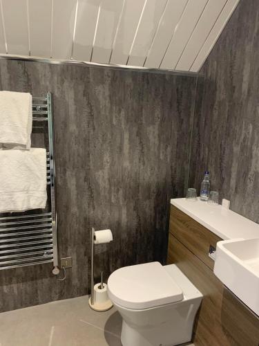 a bathroom with a white toilet and a sink at The Powfoot Hotel, Annan in Annan