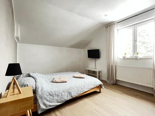 a white bedroom with a bed and a window at Ferienwohnung im Grünen in Neustadt bei Coburg