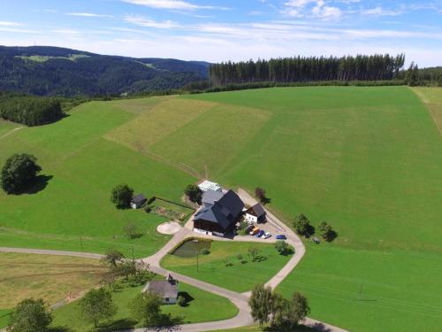 una vista aérea de una casa en un campo verde en Kapellenhof Ferienwohnungen, en Triberg