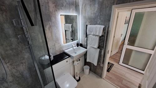 a bathroom with a sink and a toilet and a shower at Willow in Saint Mawes