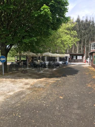 un grupo de mesas y sombrillas bajo un árbol en Camping peregrino San marcos, en Santiago de Compostela