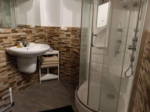 a bathroom with a sink and a shower at Eguzkitza in Rentería