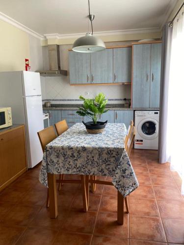 a kitchen with a table with a potted plant on it at Apartamento Altura T2 in Altura